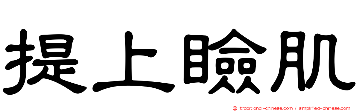 提上瞼肌