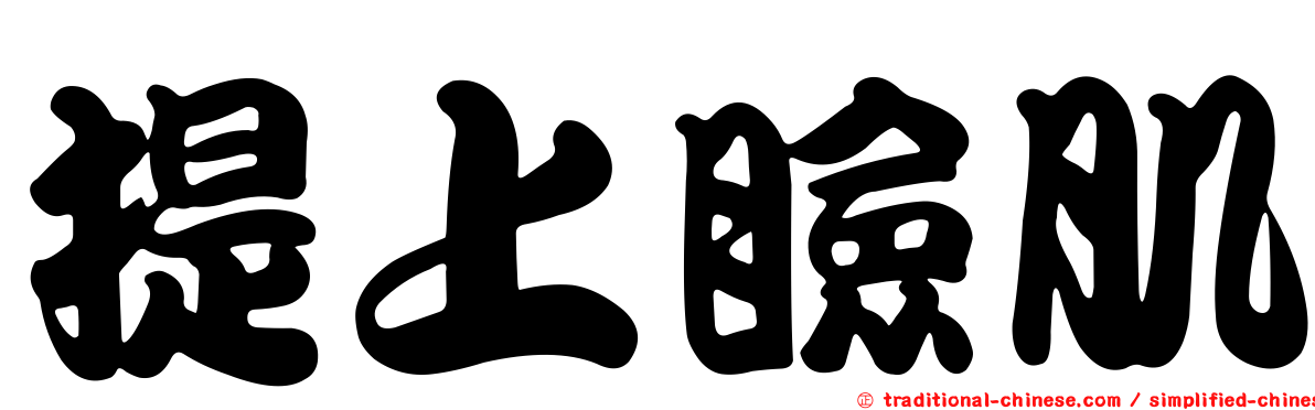 提上瞼肌