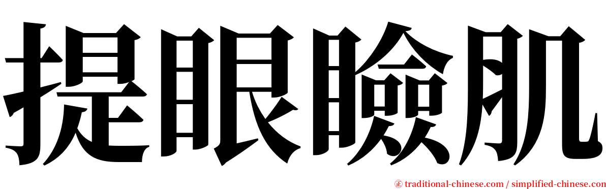 提眼瞼肌 serif font