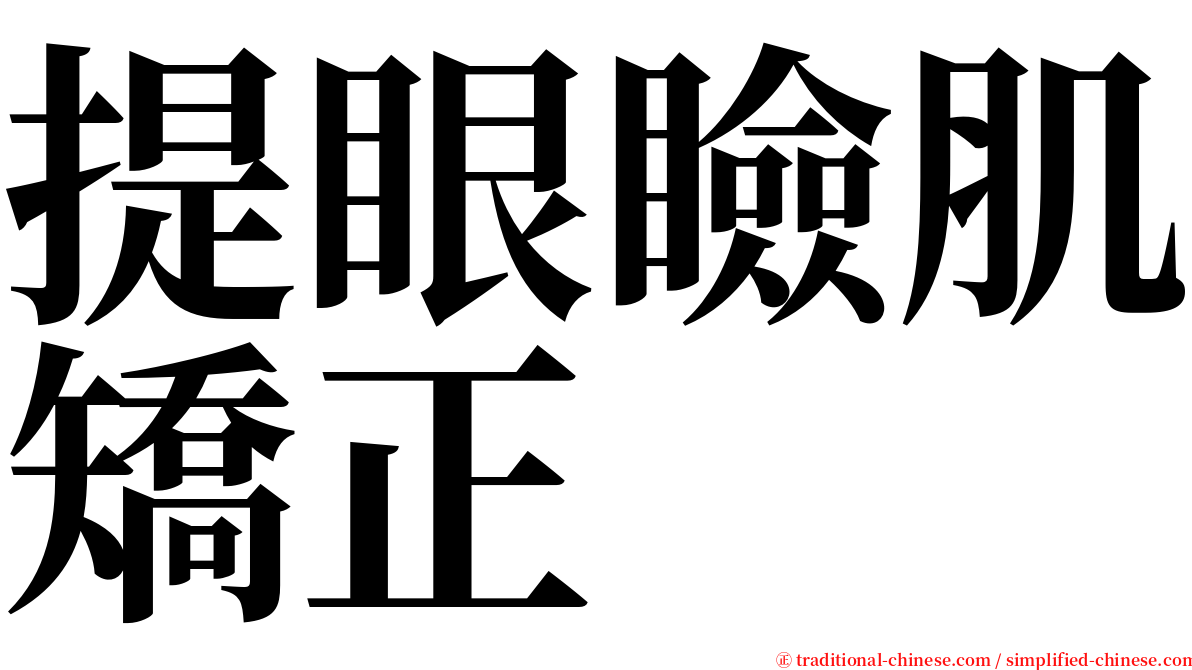 提眼瞼肌矯正 serif font