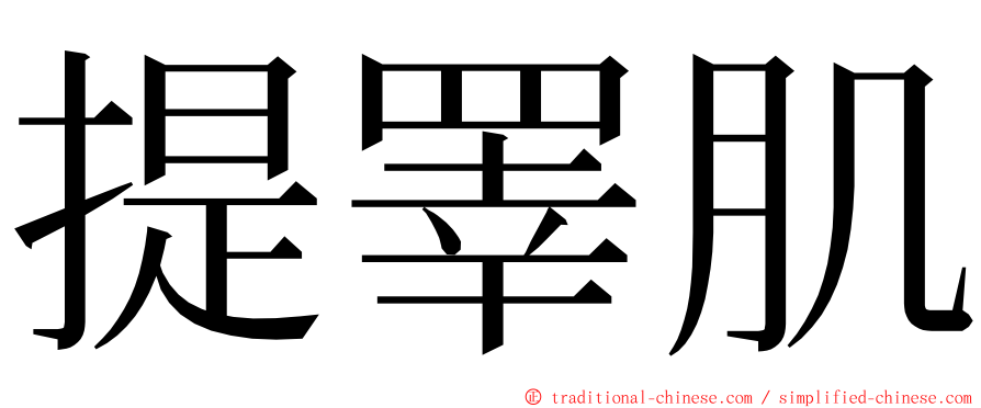 提睪肌 ming font