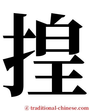 揘 serif font