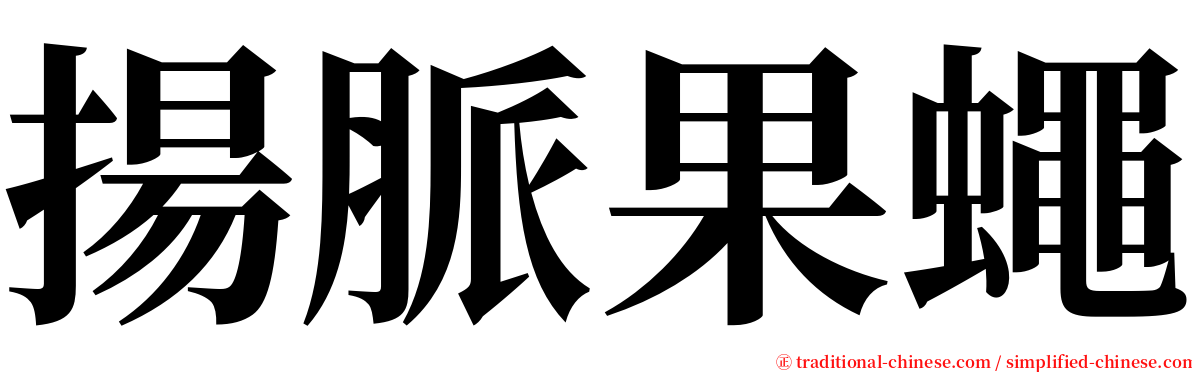 揚脈果蠅 serif font