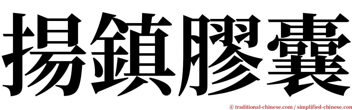 揚鎮膠囊 serif font