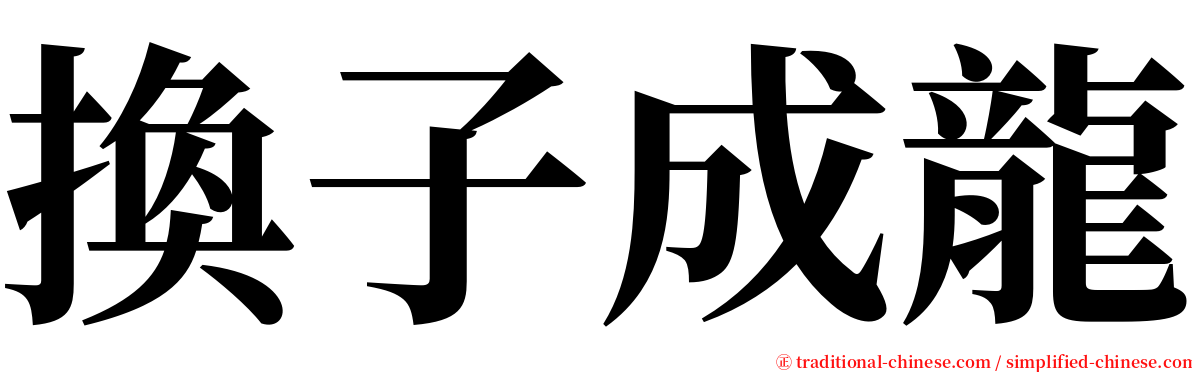 換子成龍 serif font