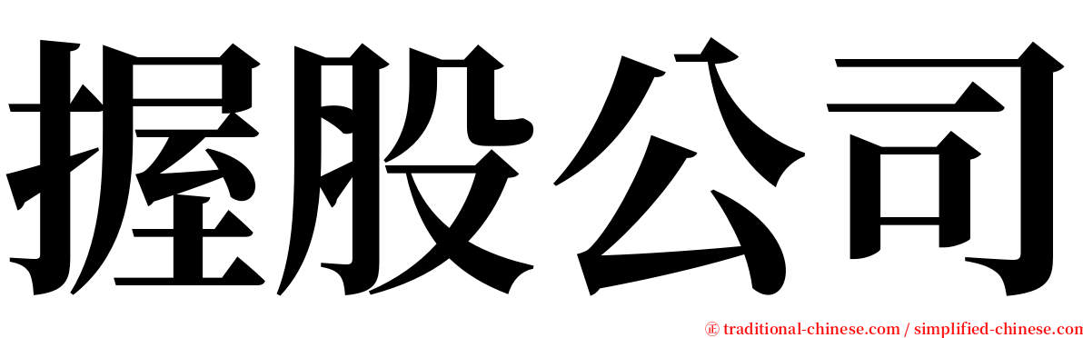 握股公司 serif font