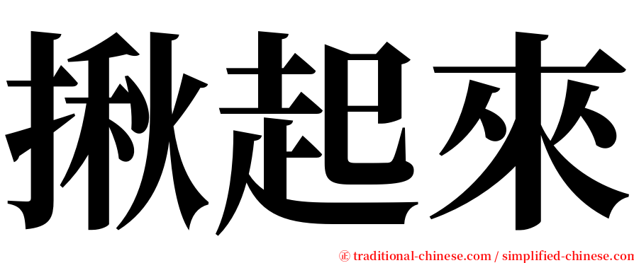 揪起來 serif font