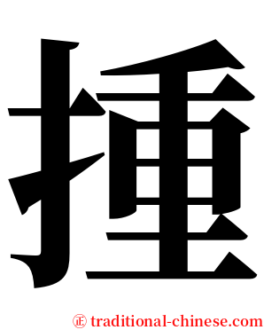 揰 serif font