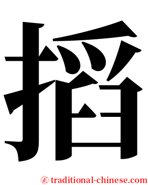 搯 serif font