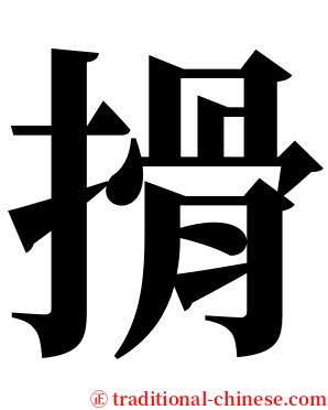 搰 serif font