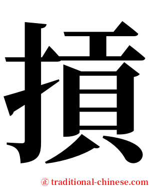 摃 serif font