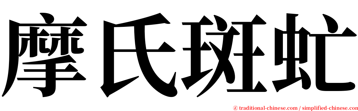 摩氏斑虻 serif font