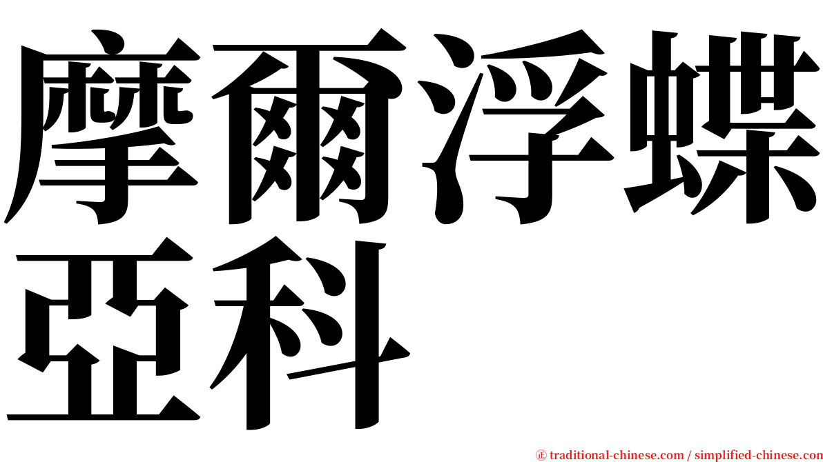 摩爾浮蝶亞科 serif font