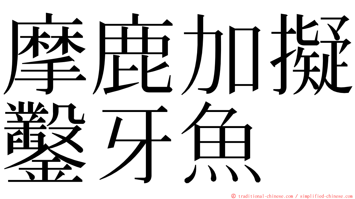 摩鹿加擬鑿牙魚 ming font