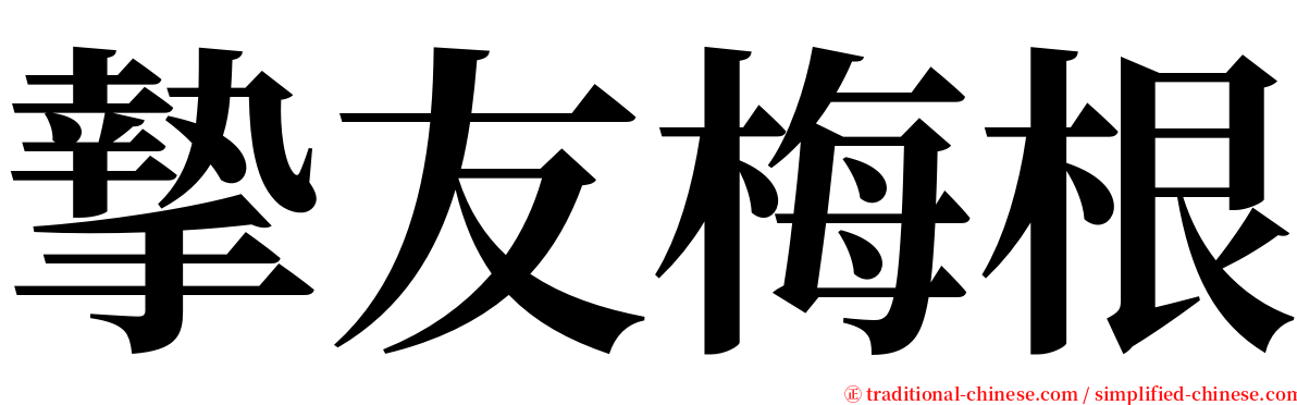 摯友梅根 serif font