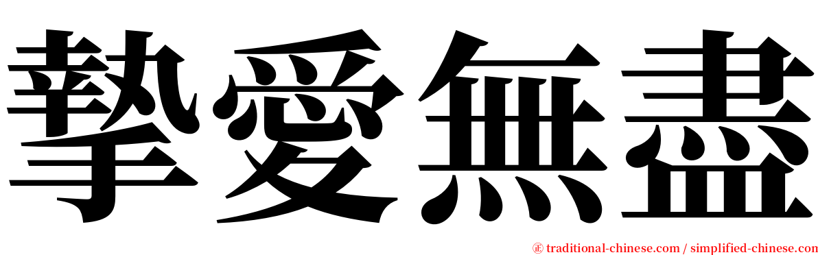 摯愛無盡 serif font