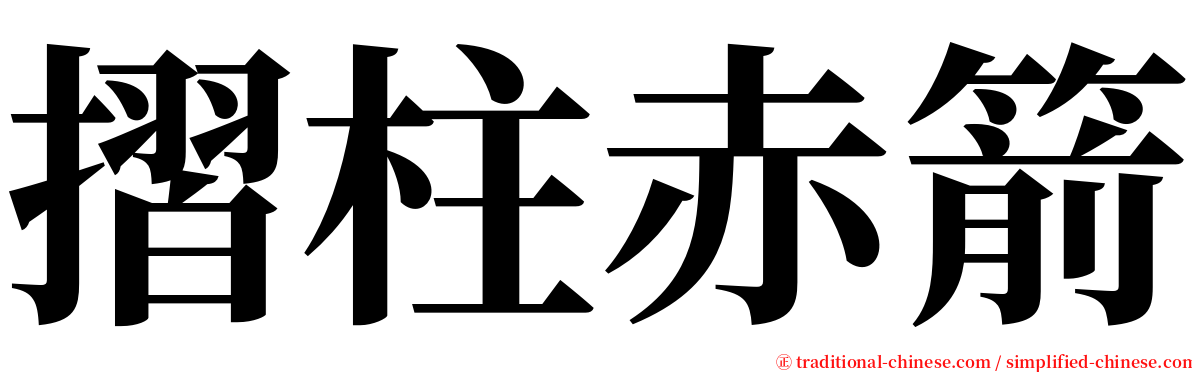 摺柱赤箭 serif font