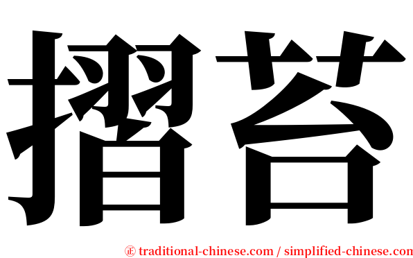 摺苔 serif font