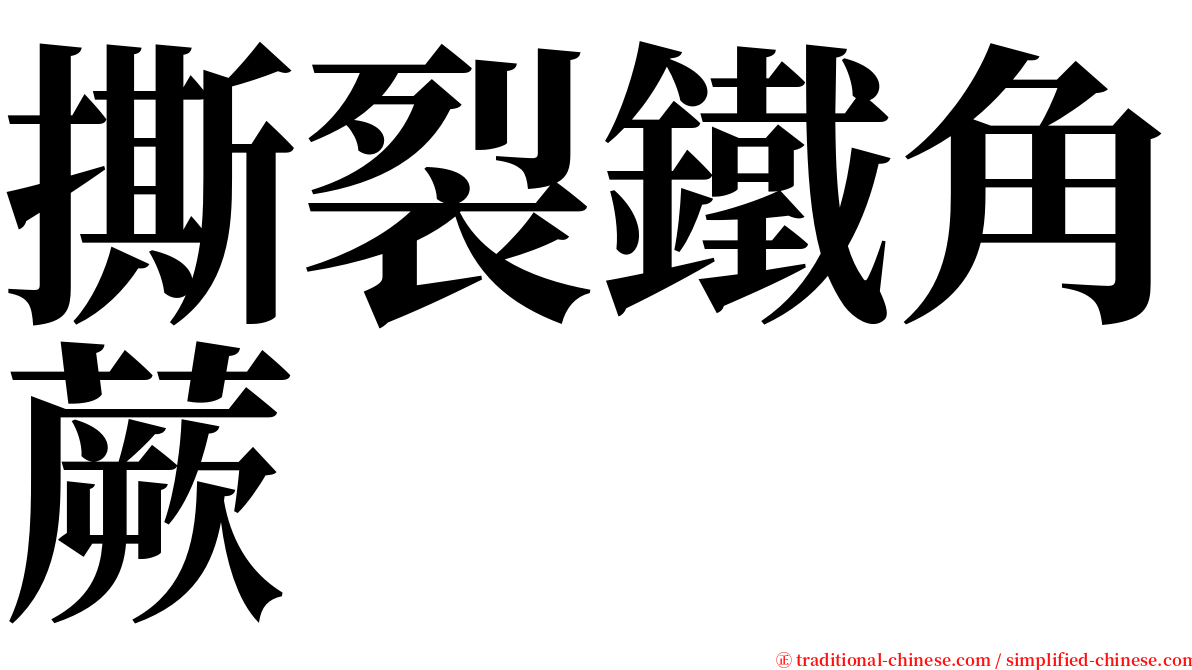 撕裂鐵角蕨 serif font