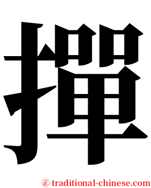 撣 serif font