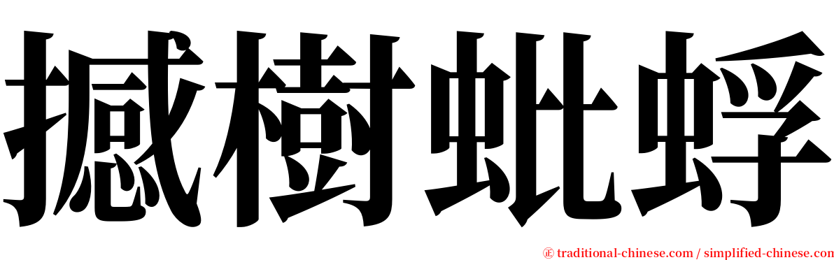 撼樹蚍蜉 serif font