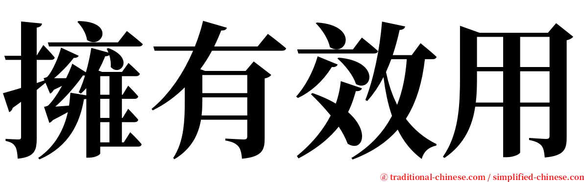 擁有效用 serif font