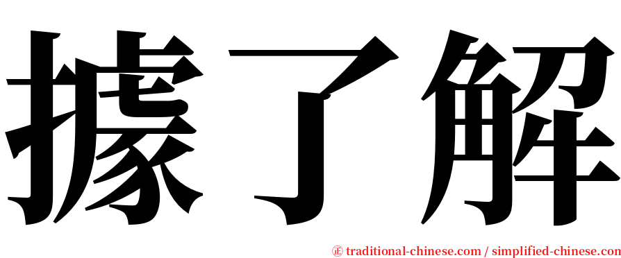 據了解 serif font