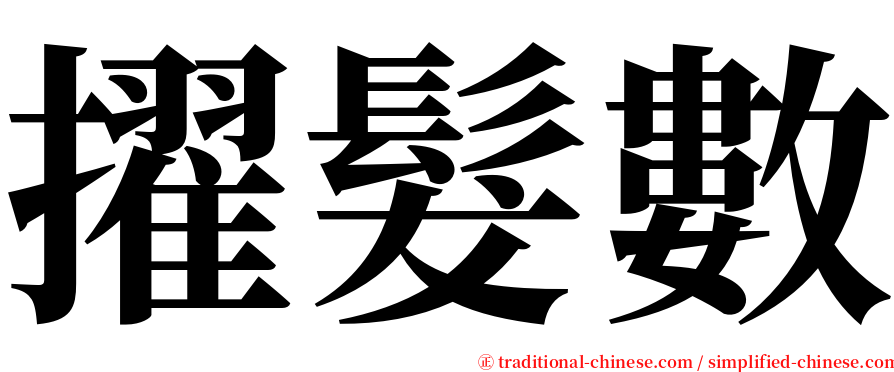 擢髮數 serif font