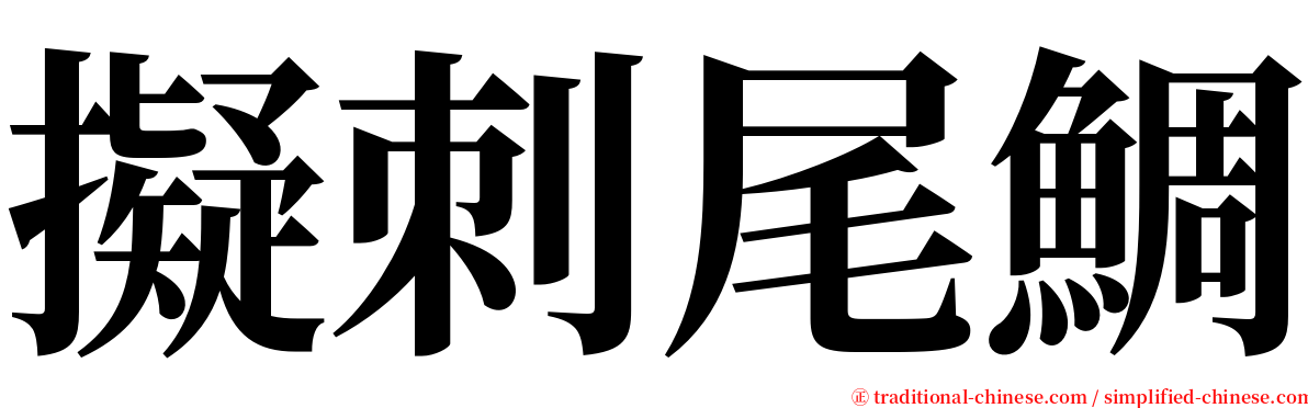 擬刺尾鯛 serif font