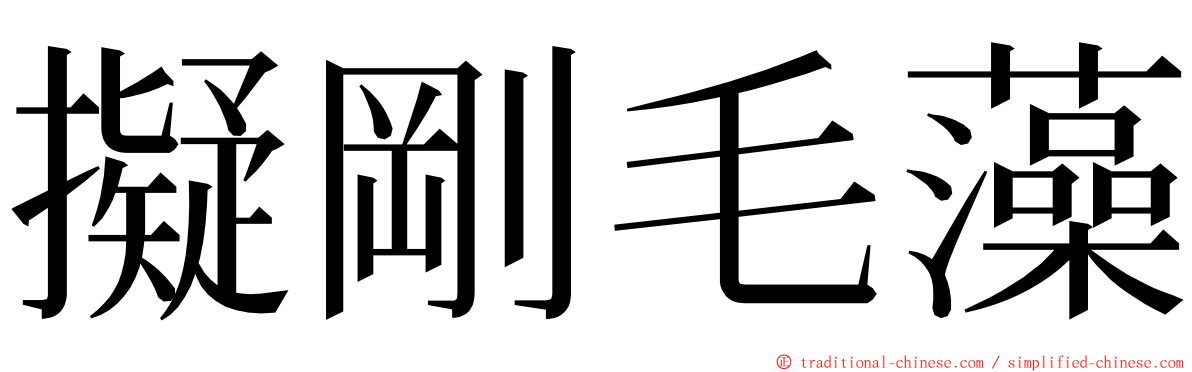 擬剛毛藻 ming font