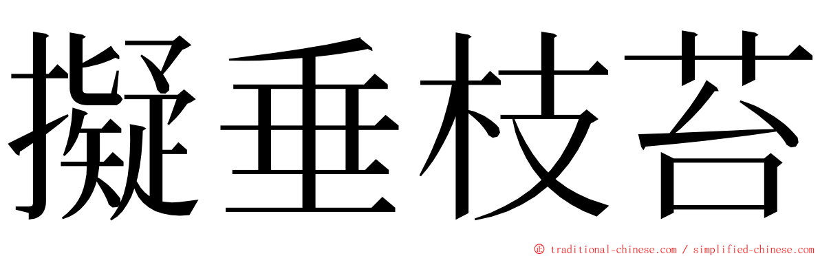 擬垂枝苔 ming font