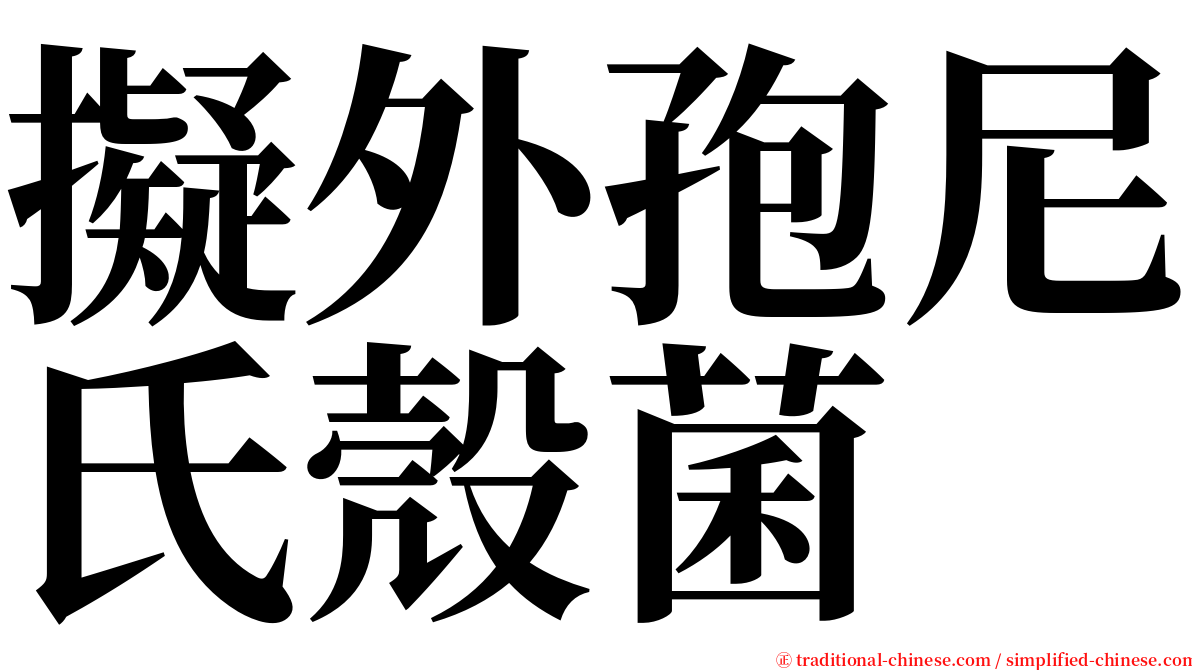 擬外孢尼氏殼菌 serif font