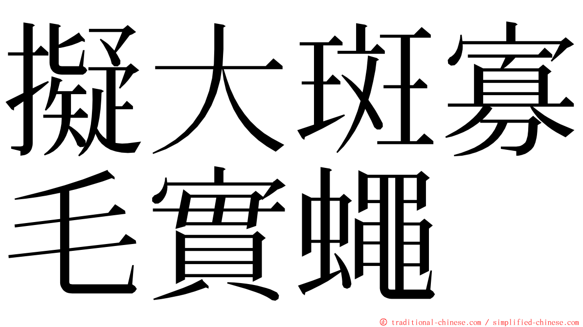 擬大斑寡毛實蠅 ming font