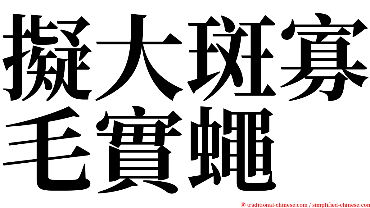 擬大斑寡毛實蠅 serif font