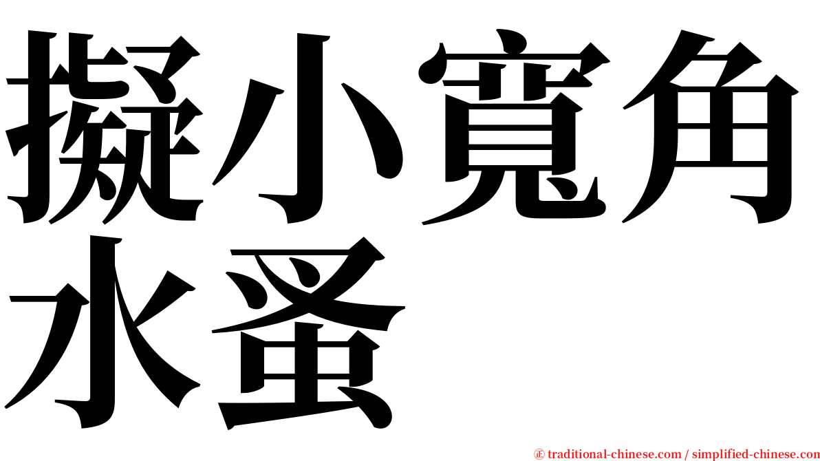 擬小寬角水蚤 serif font