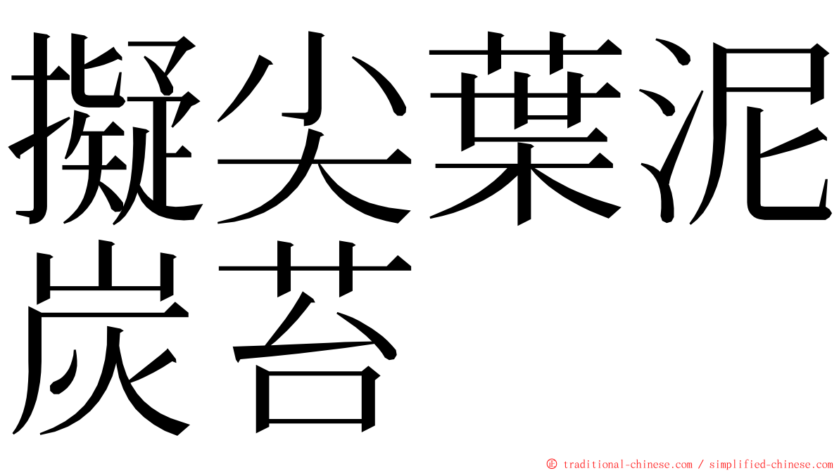 擬尖葉泥炭苔 ming font