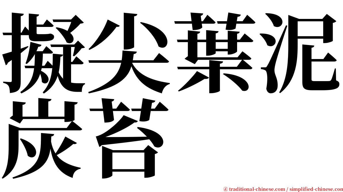 擬尖葉泥炭苔 serif font