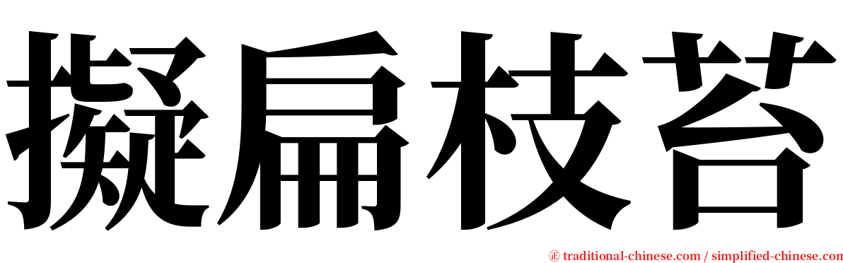 擬扁枝苔 serif font