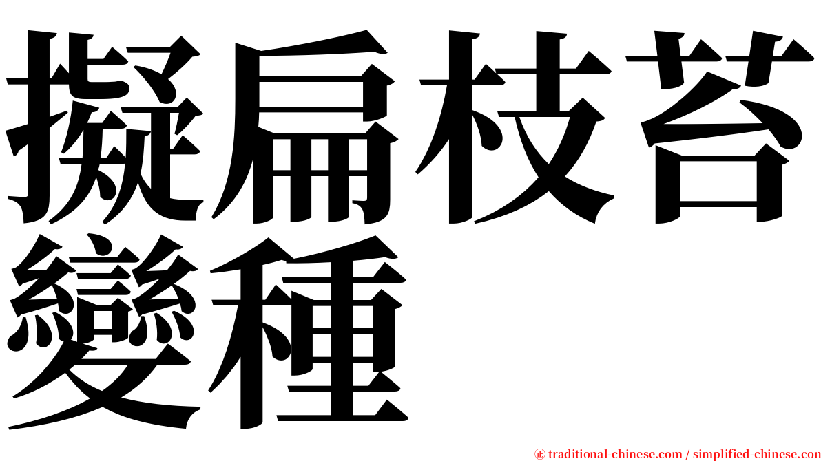 擬扁枝苔變種 serif font