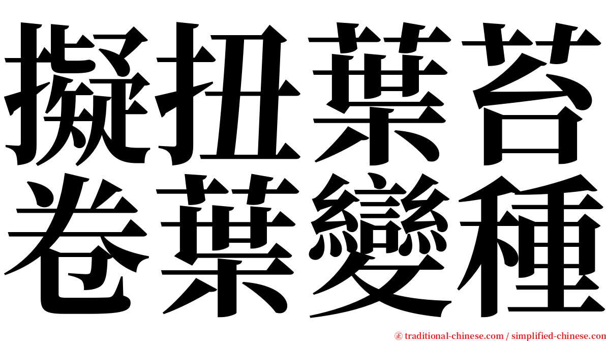 擬扭葉苔卷葉變種 serif font