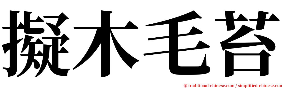 擬木毛苔 serif font