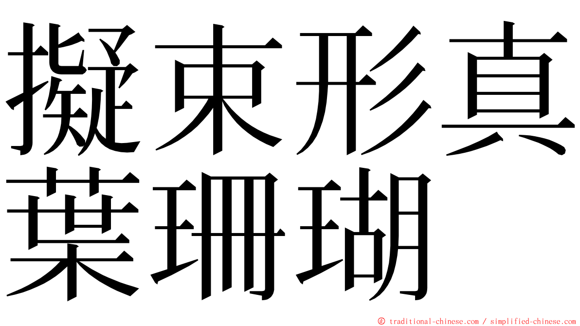 擬束形真葉珊瑚 ming font