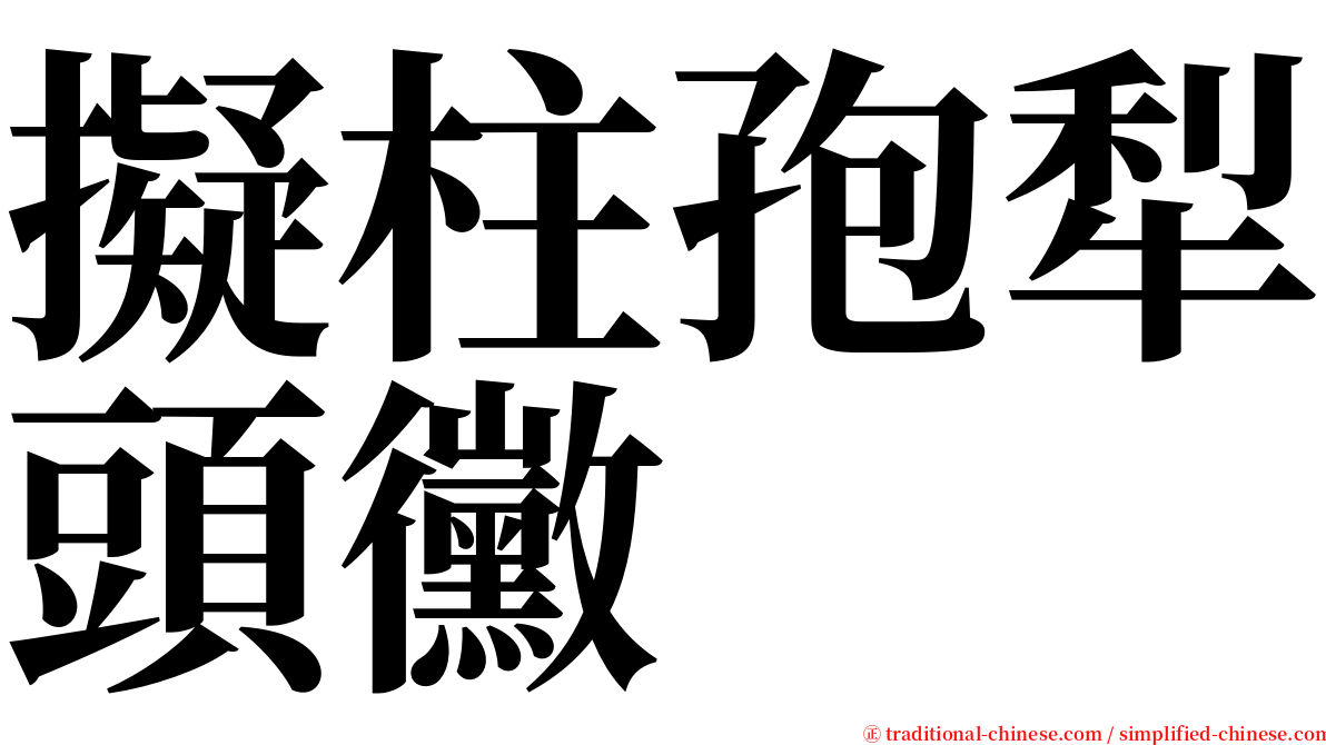 擬柱孢犁頭黴 serif font