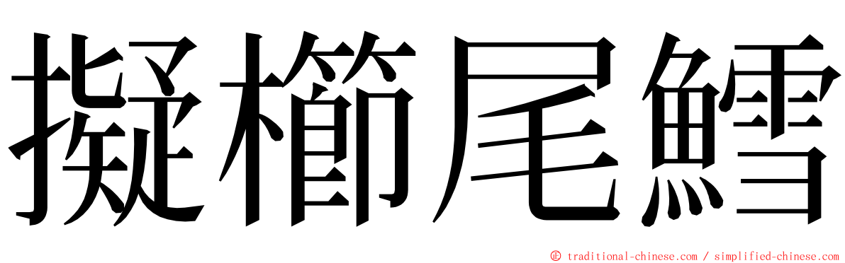 擬櫛尾鱈 ming font