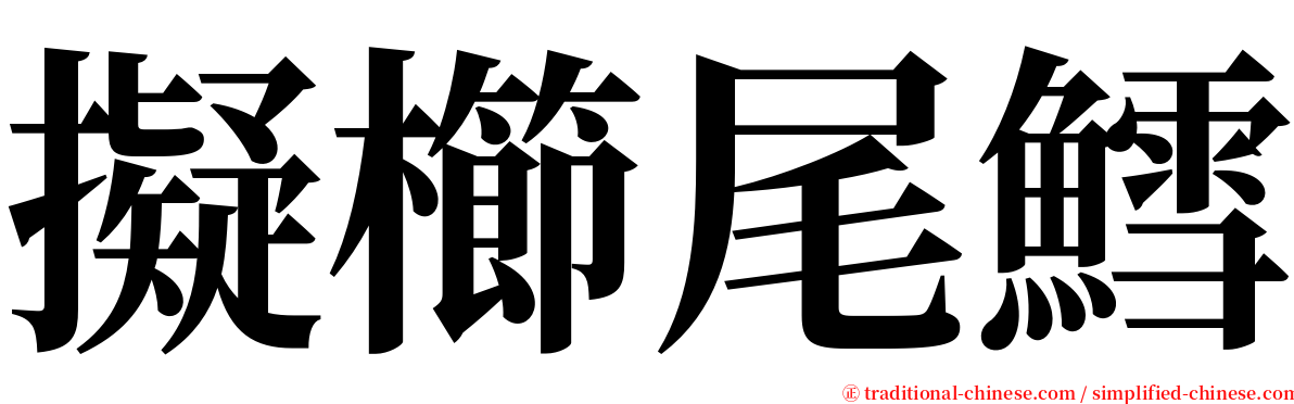 擬櫛尾鱈 serif font