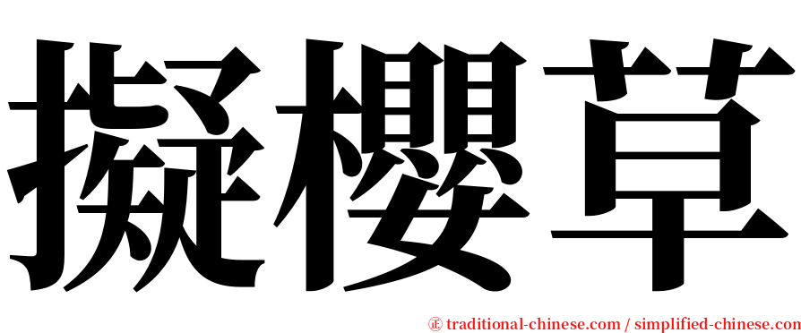 擬櫻草 serif font