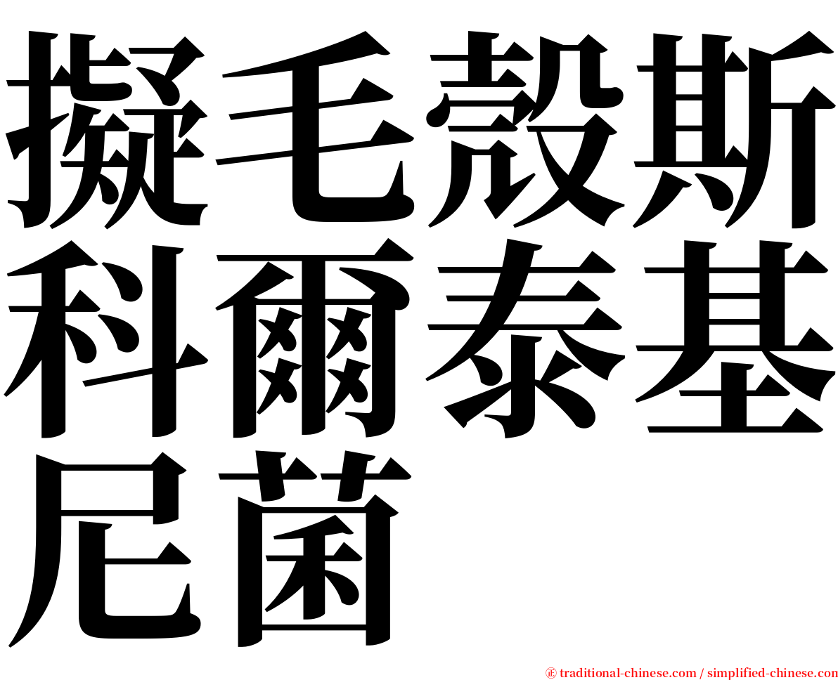 擬毛殼斯科爾泰基尼菌 serif font