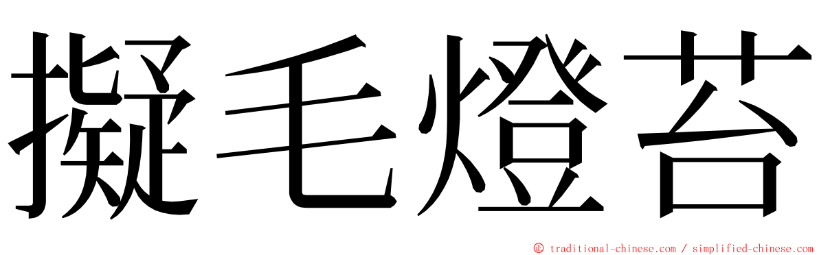 擬毛燈苔 ming font