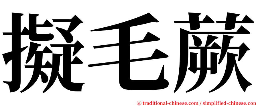 擬毛蕨 serif font