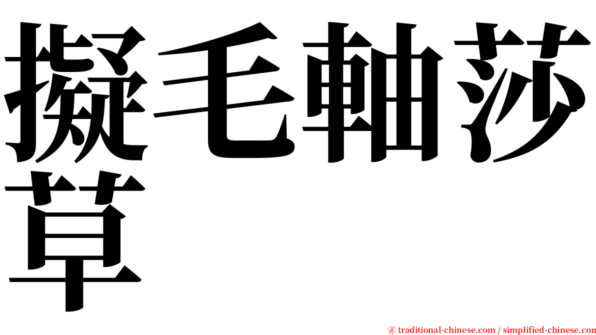 擬毛軸莎草 serif font